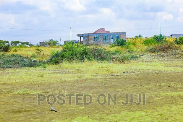 Ready to Build in Murera