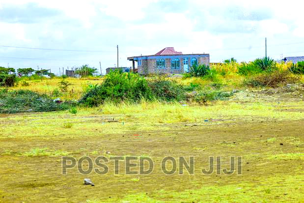 Ready to Build in Murera