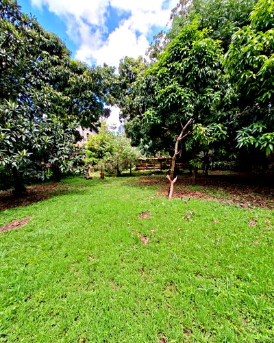 1.5-Acre Kilimani Plot with Garden