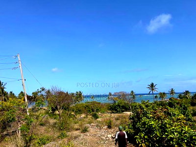 1.25 Acre Beach Plot for Sale in Kikambala Ls203 - Image 4