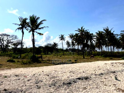 1.25 Acre Beach Plot for Sale in Kikambala Ls203 - Image 11
