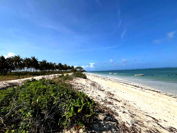 1.25 Acre Beach Plot for Sale in Kikambala Ls203