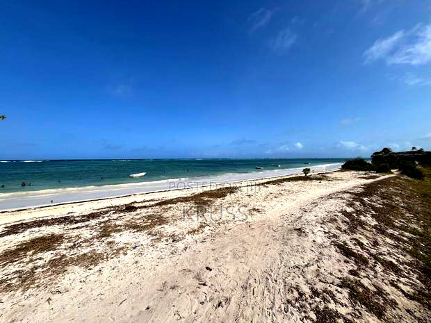 1.25 Acre Beach Plot for Sale in Kikambala Ls203