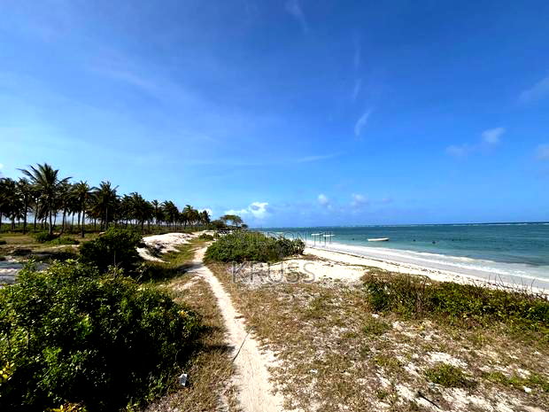 1.25 Acre Beach Plot for Sale in Kikambala Ls203