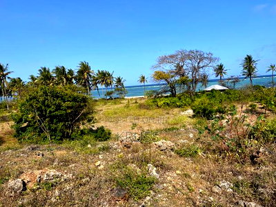 1.25 Acre Beach Plot for Sale in Kikambala Ls203 - Image 13