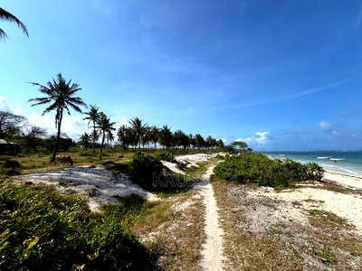 1.25 Acre Beach Plot for Sale in Kikambala Ls203 - Image 6