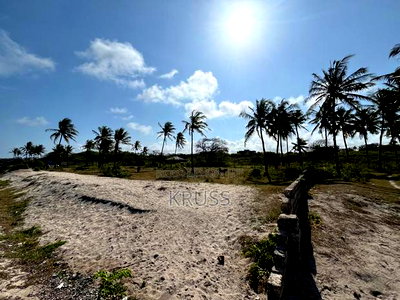 1.25 Acre Beach Plot for Sale in Kikambala Ls203 - Image 9