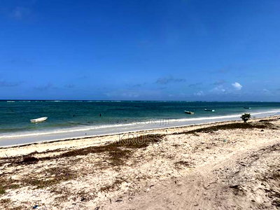 1.25 Acre Beach Plot for Sale in Kikambala Ls203 - Image 5