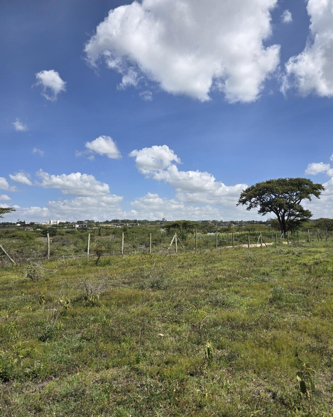 1/8 Acre Garden Plot with Parking - KSh 950K