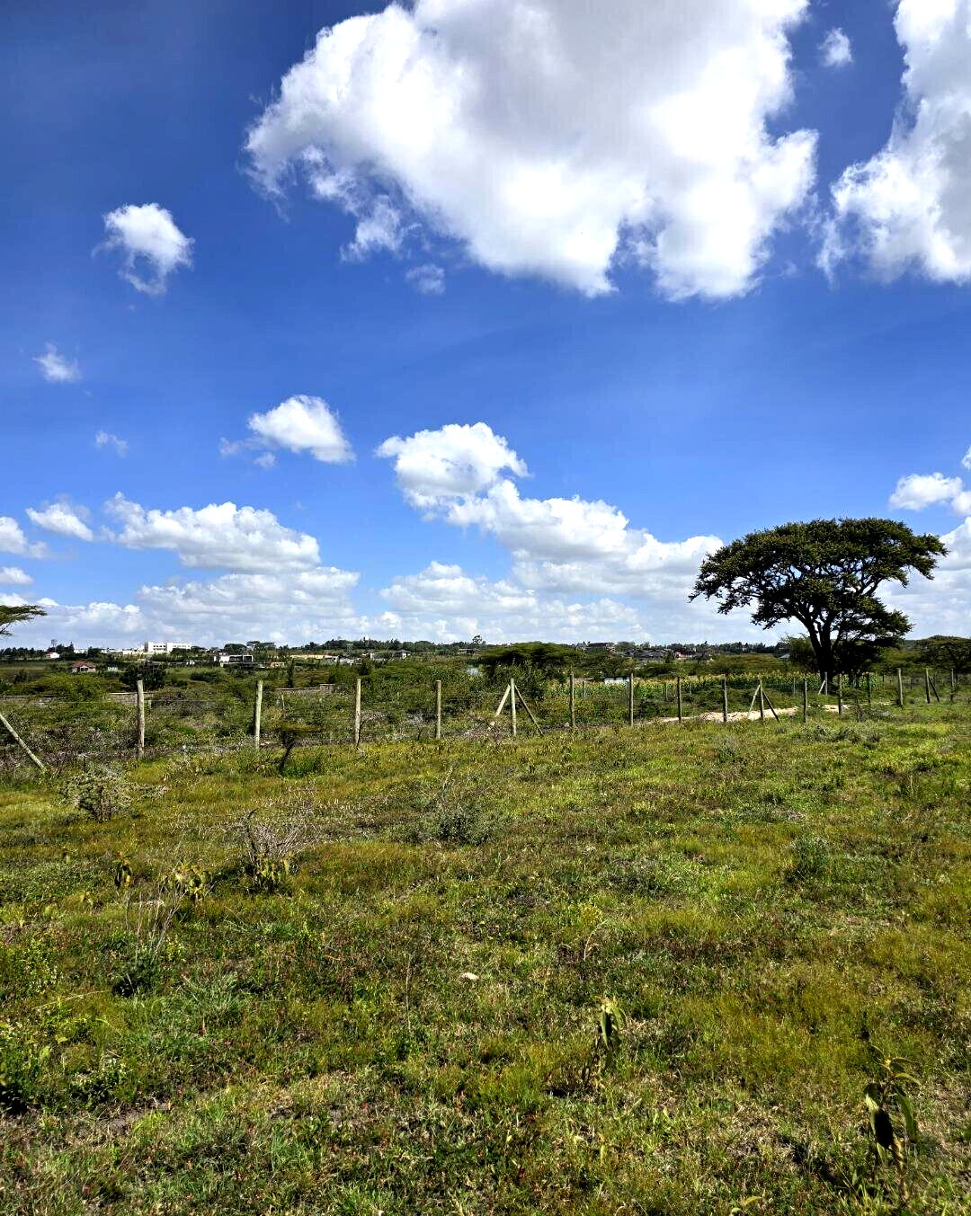 1/8 Acre Garden Plot with Parking - KSh 950K
