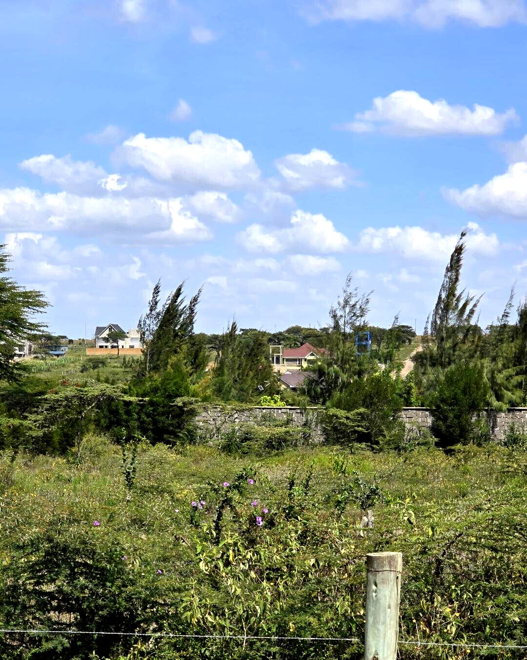 1/8 Acre Garden Plot with Parking - KSh 950K
