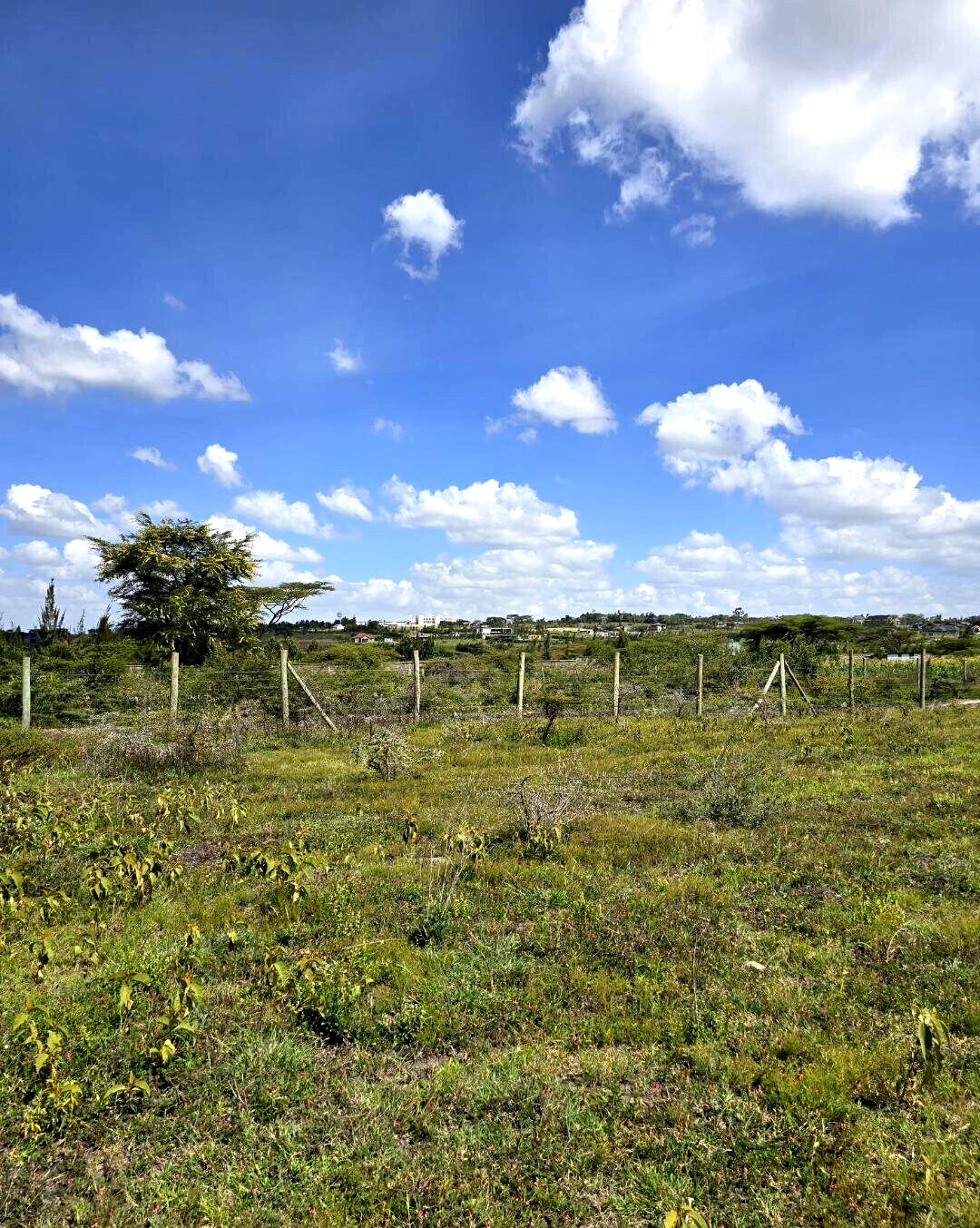 1/8 Acre Garden Plot with Parking - KSh 950K