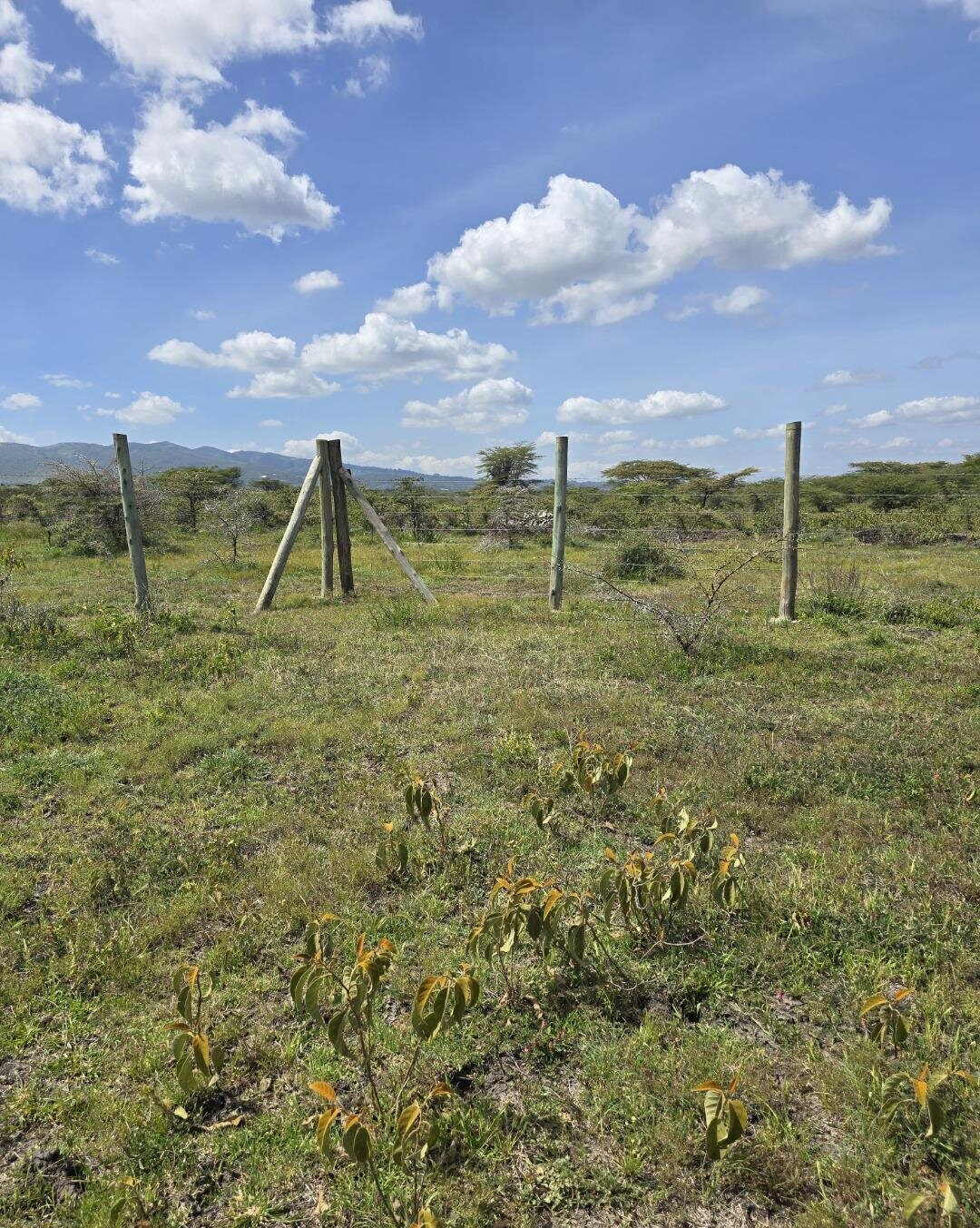 1/8 Acre Garden Plot with Parking - KSh 950K
