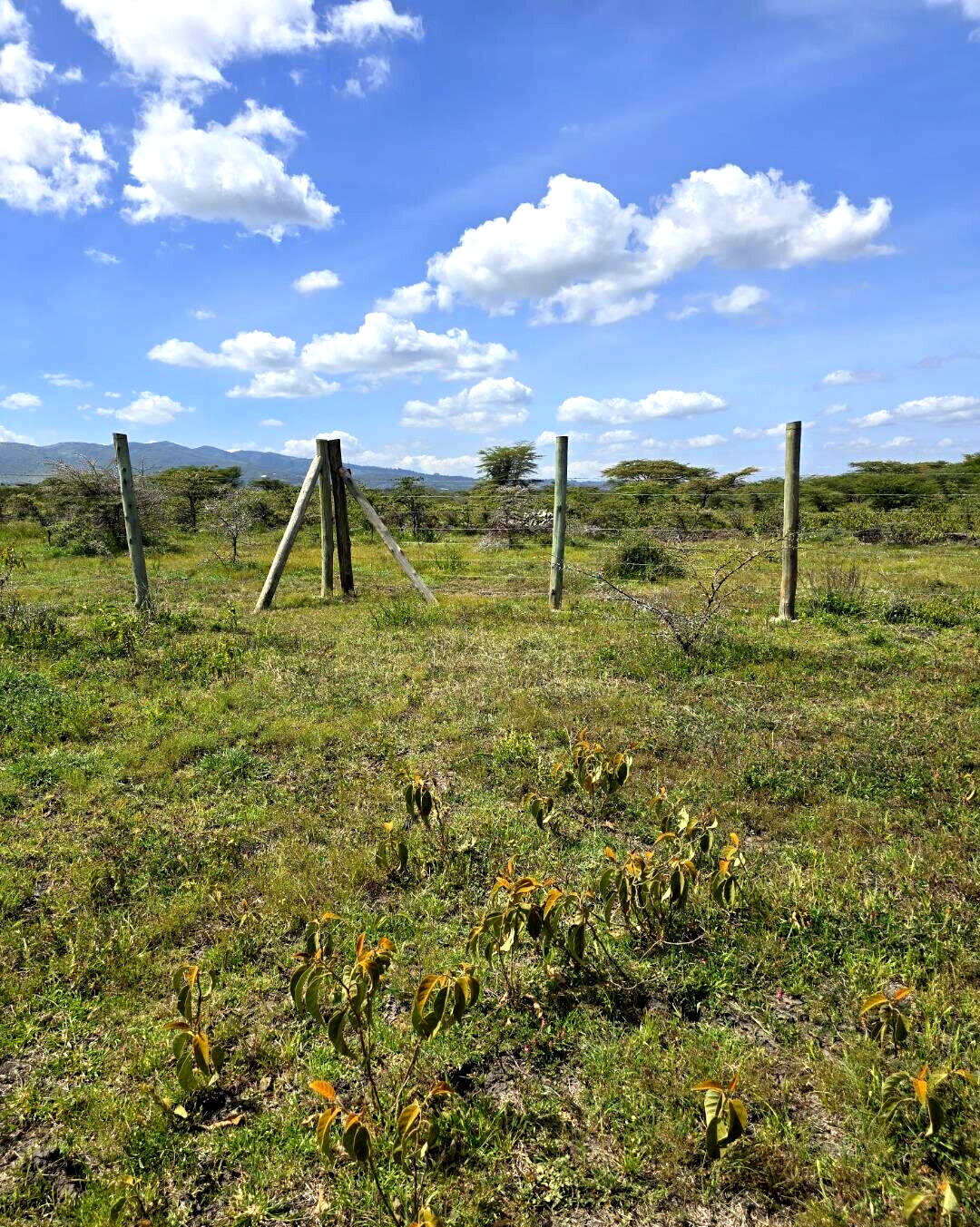 1/8 Acre Garden Plot with Parking - KSh 950K