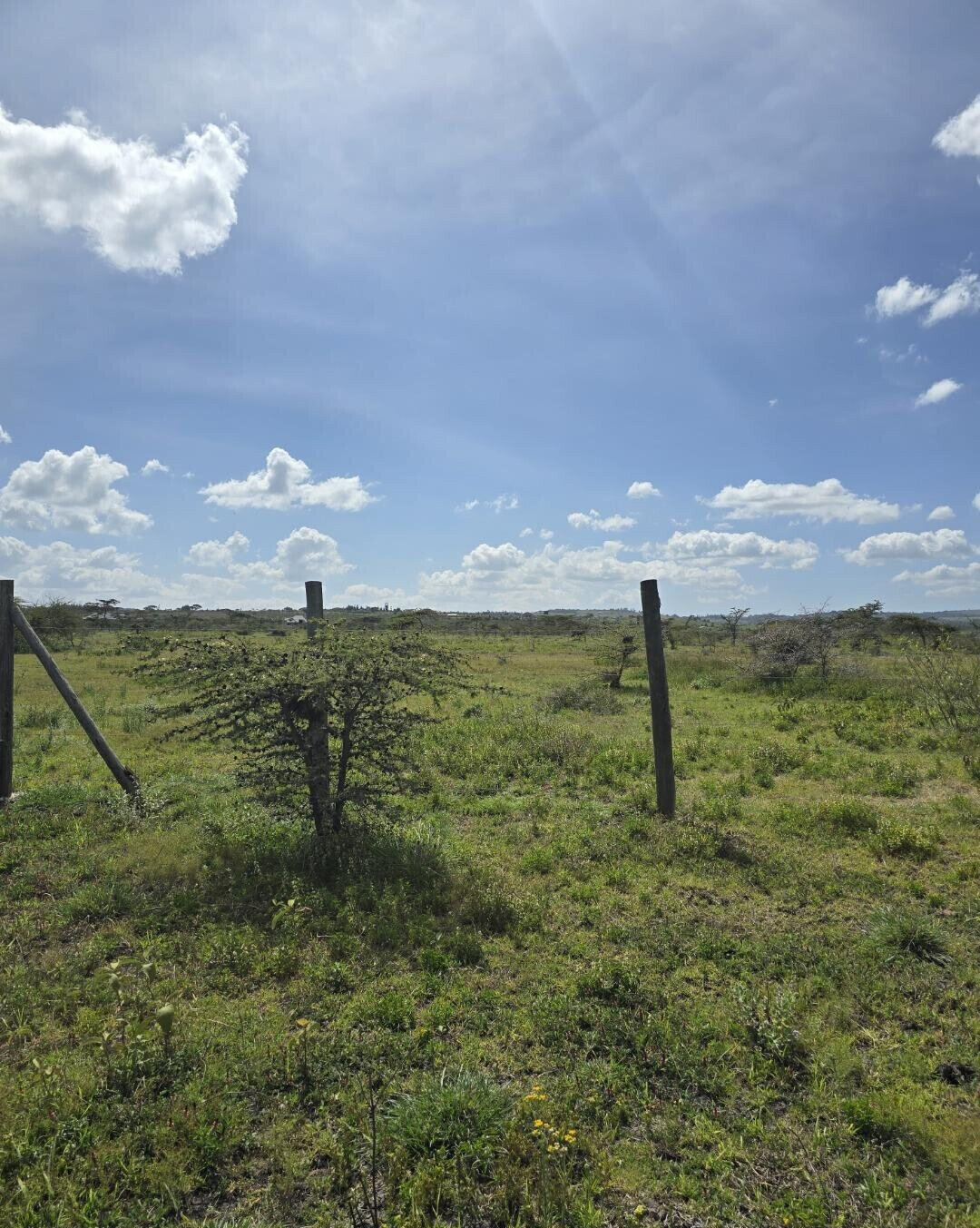 1/8 Acre Garden Plot with Parking - KSh 950K
