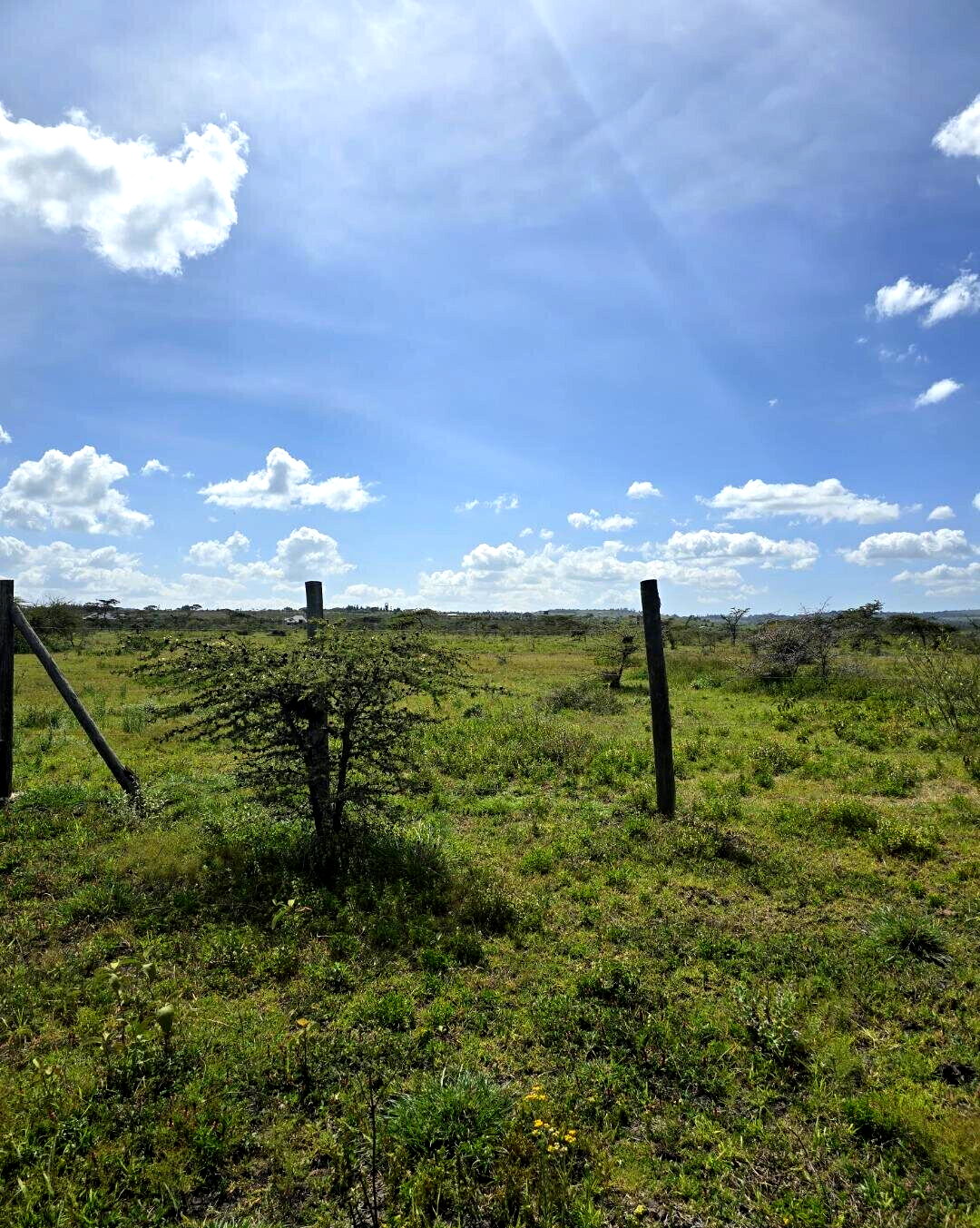 1/8 Acre Garden Plot with Parking - KSh 950K