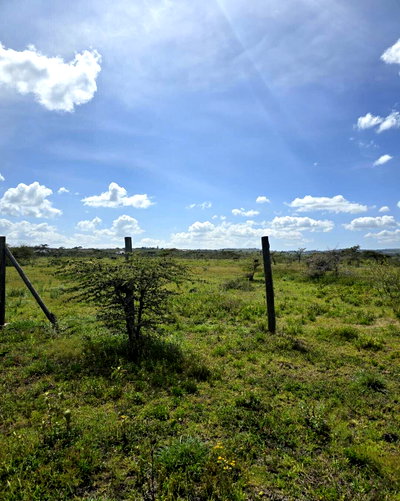 1/8 Acre Garden Plot with Parking - KSh 950K