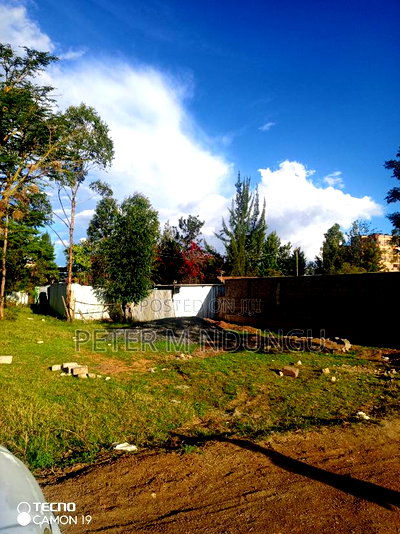 Prime Land on Sale,50*100 Ft Behind Zetech University - Image 2