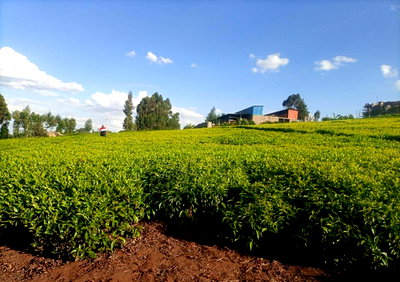 5-Acre Block for Sale at KSh 30M