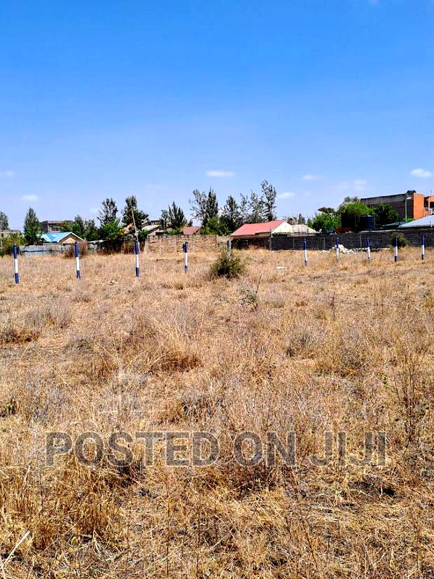 Kamulu 50 by 100 Plots