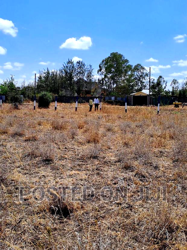 Kamulu 50 by 100 Plots