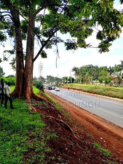 Prime 5 Acres to Let Touching Kiambu Road - Image 5