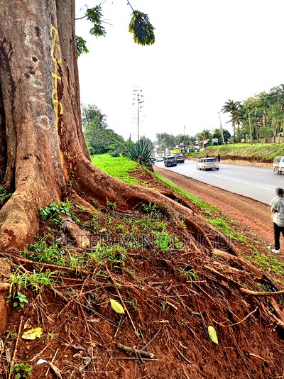 Prime 5 Acres to Let Touching Kiambu Road - Image 3