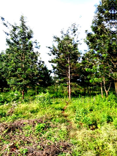 Prime 5 Acres to Let Touching Kiambu Road - Image 7