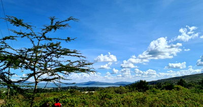 11.6-Acre Plot in Naivasha