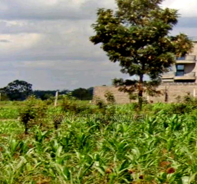 40x80 Residential Plot at Kiora Estate, Kiambu - Image 5
