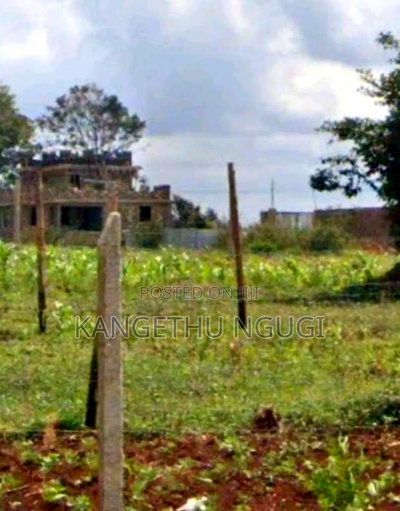 40x80 Residential Plot at Kiora Estate, Kiambu - Image 3