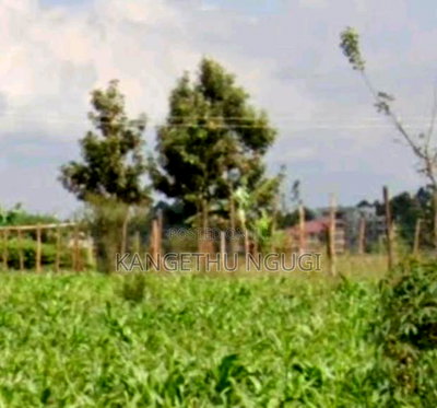 40x80 Residential Plot at Kiora Estate, Kiambu - Image 1
