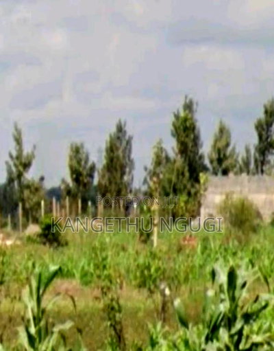 40x80 Residential Plot at Kiora Estate, Kiambu - Image 2