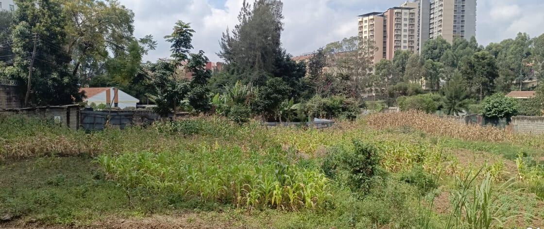 2-Acre Lavington Plot for Sale