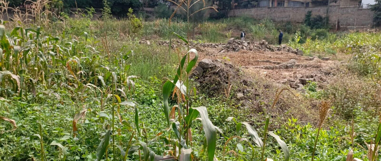 2-Acre Lavington Plot for Sale