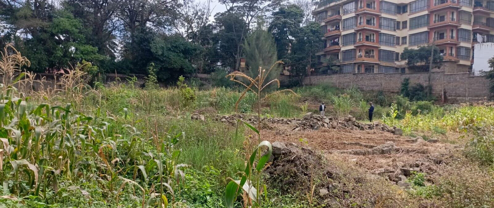 2-Acre Lavington Plot for Sale