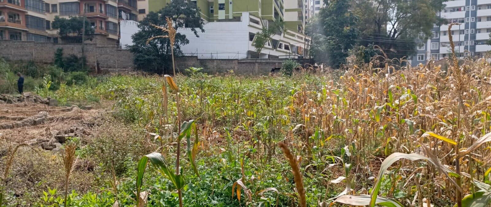 2-Acre Lavington Plot for Sale