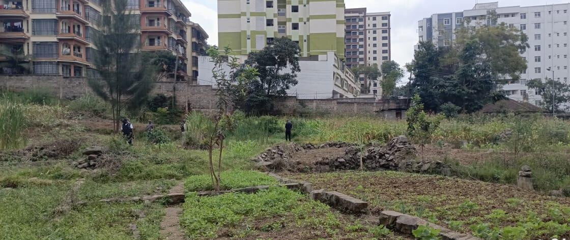 2-Acre Lavington Plot for Sale