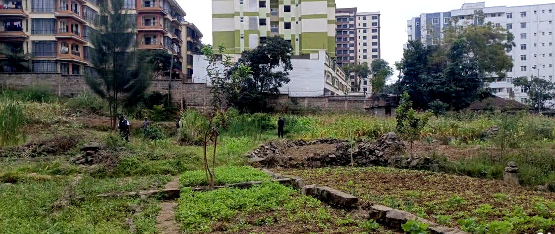 2-Acre Lavington Plot for Sale