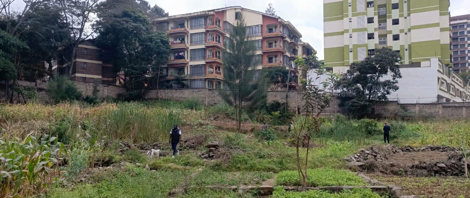 2-Acre Lavington Plot for Sale