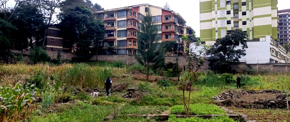 2-Acre Lavington Plot for Sale