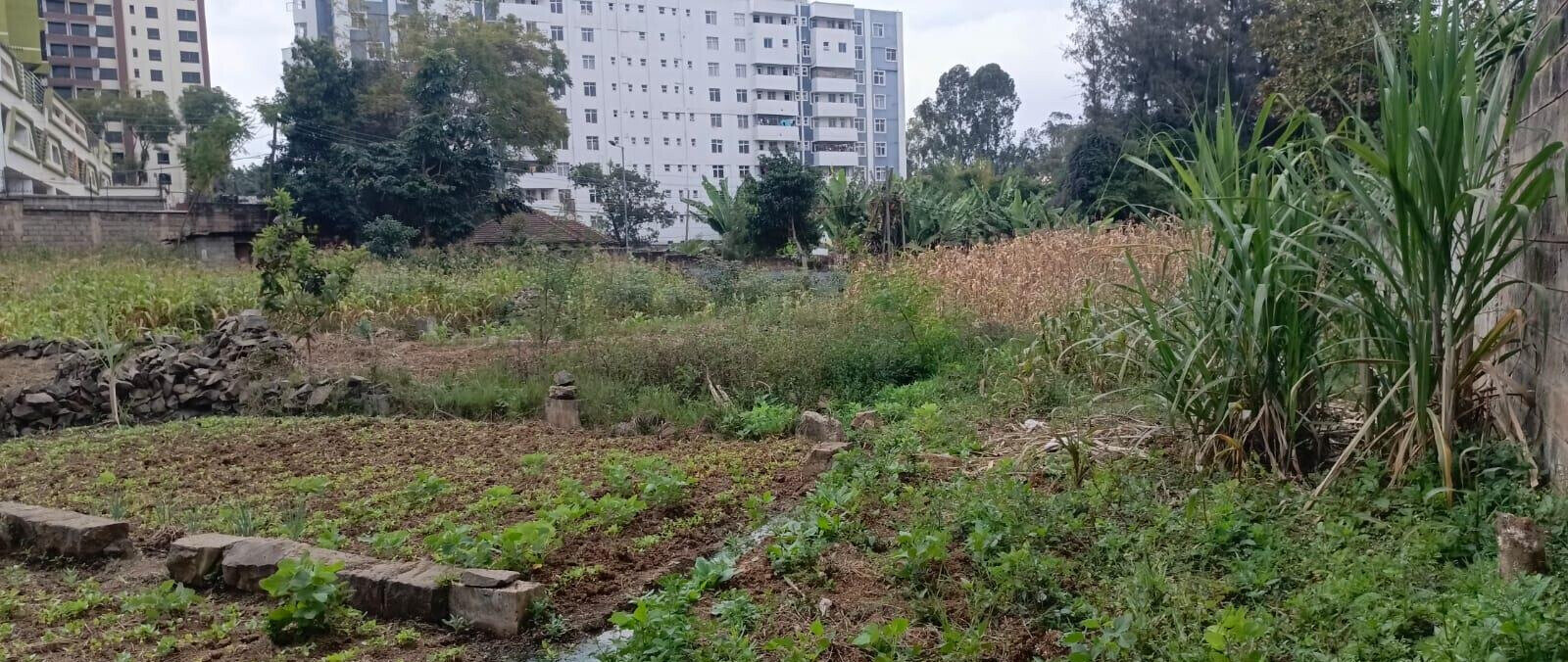 2-Acre Lavington Plot for Sale