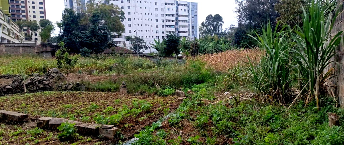 2-Acre Lavington Plot for Sale