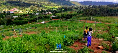 Prime Residential Plots for Sale in Thigio, Kamangu - Image 8