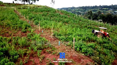 Prime Residential Plots for Sale in Thigio, Kamangu - Image 12