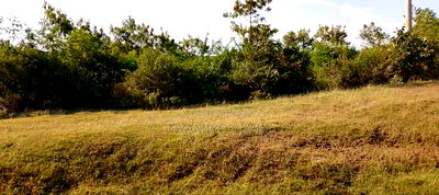 Bondo- Kambajo- Usenge Road - Image 7