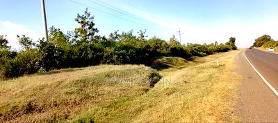 Bondo- Kambajo- Usenge Road - Image 6