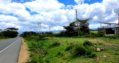 11.4-Acre Commercial Plot with Garden