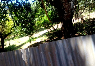 5-Acre Karen Land at KSh 420M