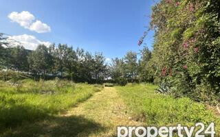 KSh 35M Half Acre in Karen